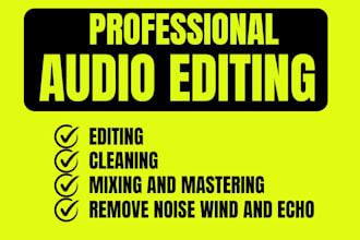 do audio clean up, audio editing, fix and repair,  remove noise, wind and echo