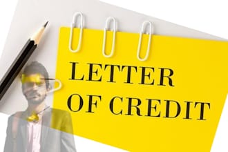 make and scrutiny standard import export lc documentation