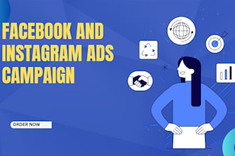 setup and run your fb and ig ads campaign
