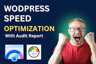 optimize wordpress website performance for google page speed insights