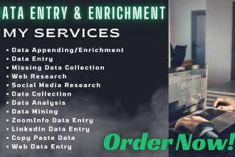 do data enrichment, data entry