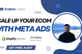 setup and manage facebook and instagram ads for your shopify store with max ROI