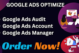 setup google PPC ads audit and optimization