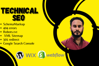 fix schema, 404 errors, robots txt, XML, 301 redirect, gsc