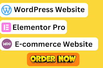 make a small business wordpress website