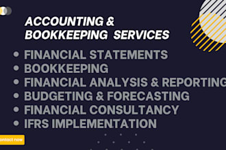 provide expert accounting and bookkeeping services