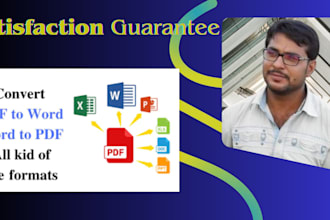 do data entry in excel, word and file conversion