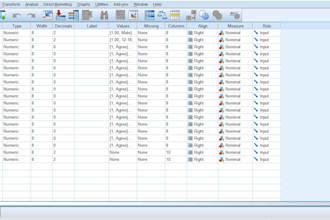analyze your data on spss, result interpretation for thesis