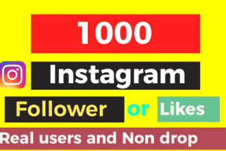 raise followers for your instagram profile