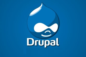 do perfect drupal SEO