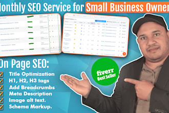 complete SEO solutions for small business owners