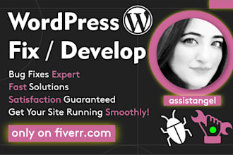 develop or fix your wordpress website