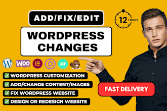 quickly make changes, edit and update or customize wordpress website, issues fix