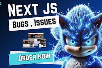 do next js bug fixing, layout bugs, and problems