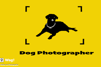 photograph your dog in manhattan