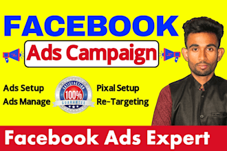 run facebook ads campaign, fb meta ads expert for sales and promotion