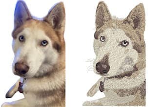 do pes dst embroidery digitizing for caps, t shirts, jacket back