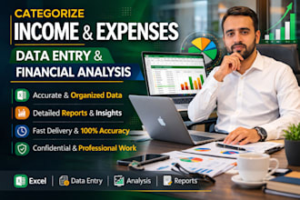 categorize income and expenses transaction, data entry, financial analysis