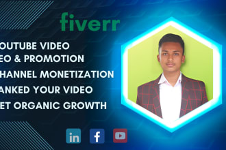do best youtube video SEO expert and channel manage