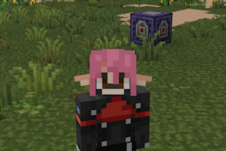 make or customize your skin for the custom player models mod or the figura mod