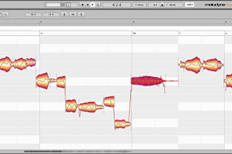 professionally edit, tune and mix your vocals
