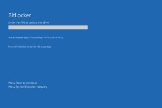 fix any technical issues related to microsoft windows os