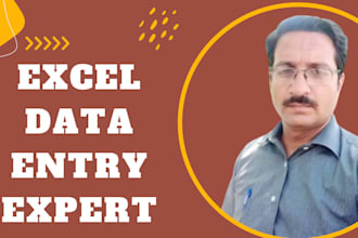 do data entry in low price