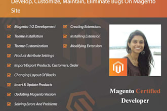 develop, customize, maintain, eliminate bugs on magento site