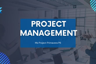 do schedule gantt chart, wbs, network diagrams using microsoft project