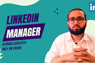 be your linkedin manager for your business page
