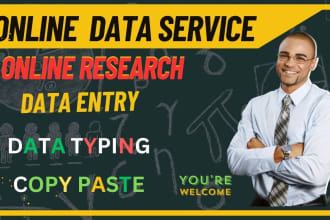 do online research, data typing, and excel data analysis job