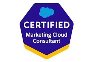be your salesforce marketing cloud developer and consultant
