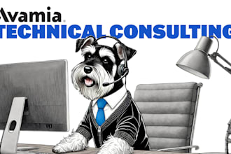 provide technical consulting for your custom web app