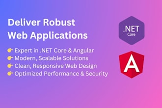provide professional web app with net core and angular