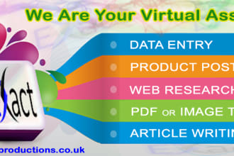 do fast data entry service,pdf to excel or word