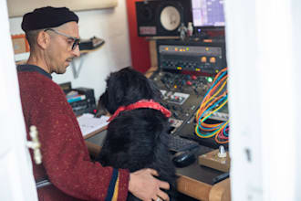 professionally mix and master your song or album