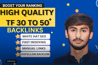create high quality tf dofollow seo home page backlink for website ranking