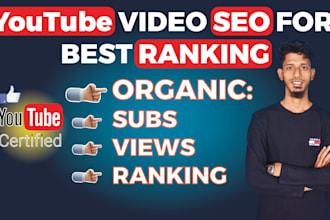 do best youtube video SEO expert optimization and channel growth organically