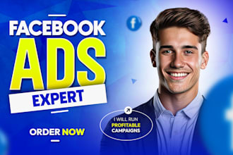 be your facebook ads expert and run profitable fb and insta ads campaigns