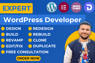 design, redesign, build, revamp, clone, duplicate, fix or edit wordpress website