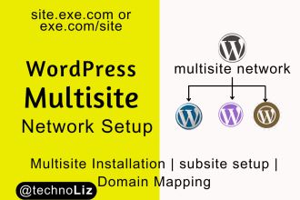 install and setup wordpress multisite network with subdomain and subdirectory