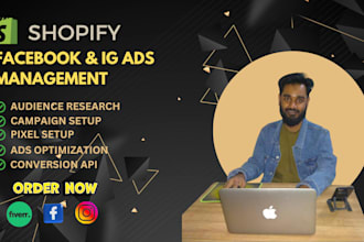 supervise facebook and instagram ads campaign manager run shopify fb ads