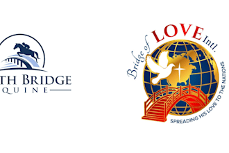 do professional bridge logo design