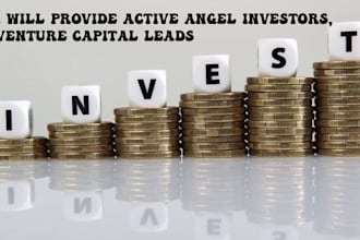 provide active angel investors,venture capital leads