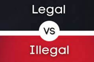 do on law essays, criminology, business law, and legal research