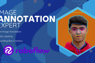 do image annotation, data labeling and bounding box creation
