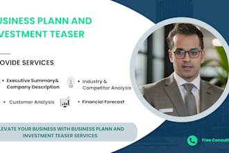 do strategic business planning and investment teaser