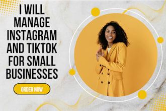 manage instagram and tiktok for small businesses