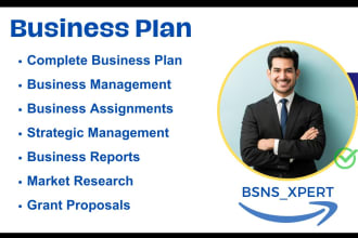 write business plan, proposal, strategic risk management, market research report