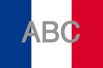 professionally translate your English text into French